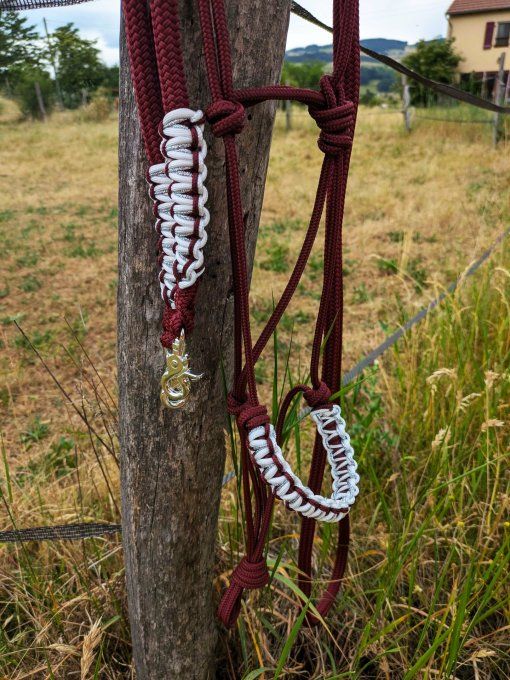 Ensemble bordeaux taille cob