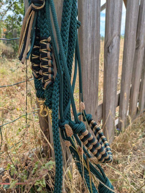Ensemble vert sapin taille cob