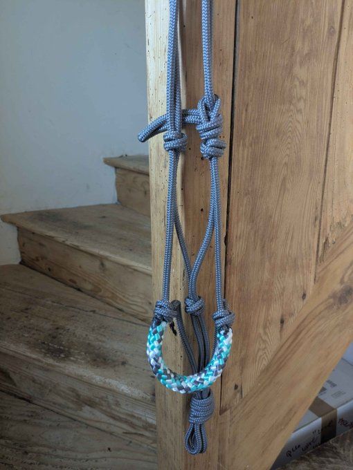 Licol shetland gris/camo menthe