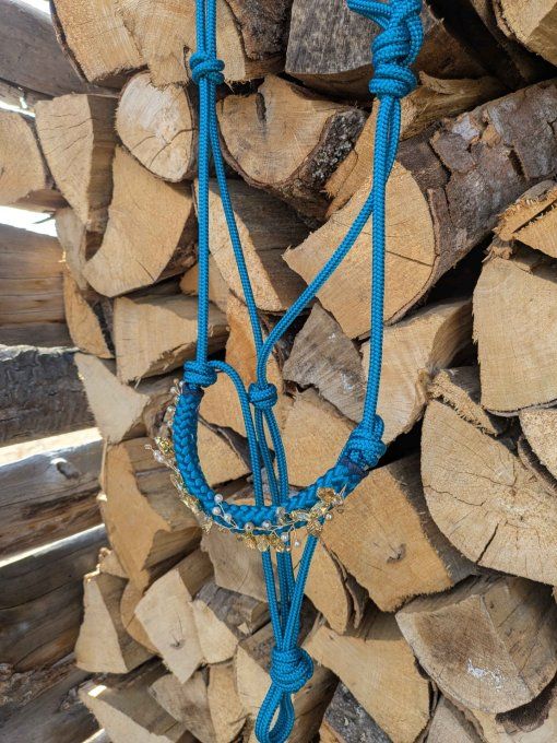 Licol Freya aqua / doré taille cob