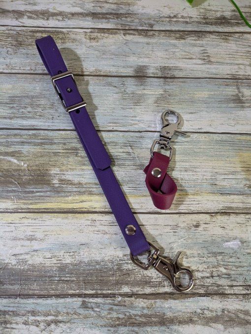 Lot lien de sécurité + poz'cravache violet prune