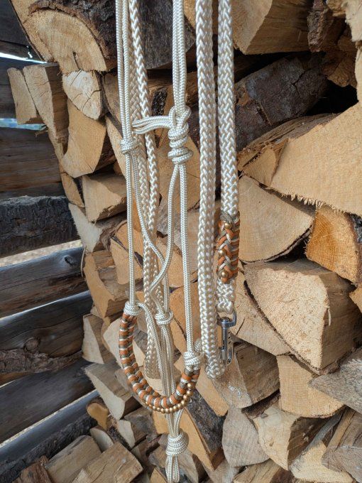 Ensemble beige taille cob