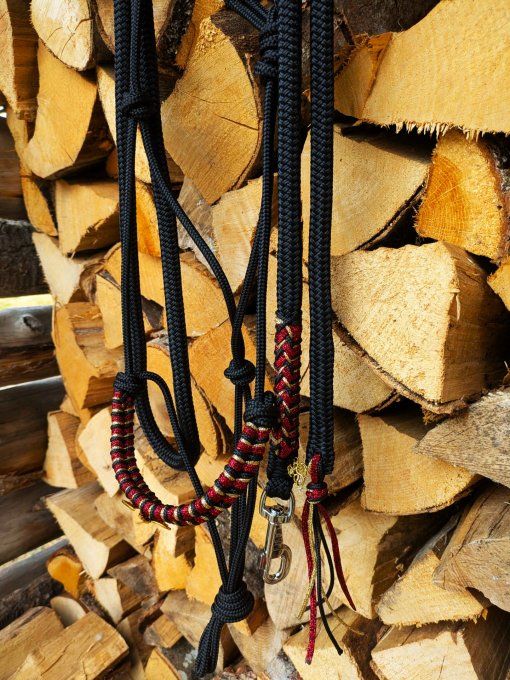 Ensemble "Drogo" N°1 (taille cob)