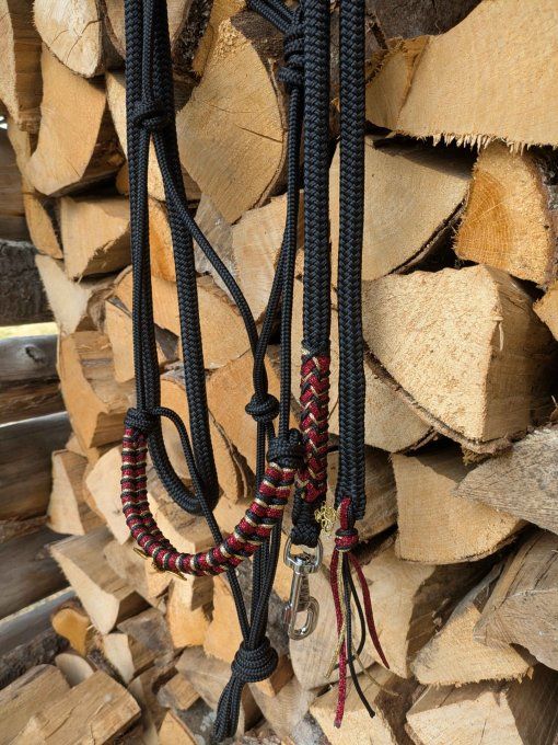 Ensemble "Drogo" N°1 (taille cob)