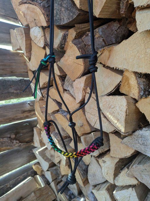 Licol "Rainbow" personnalisé