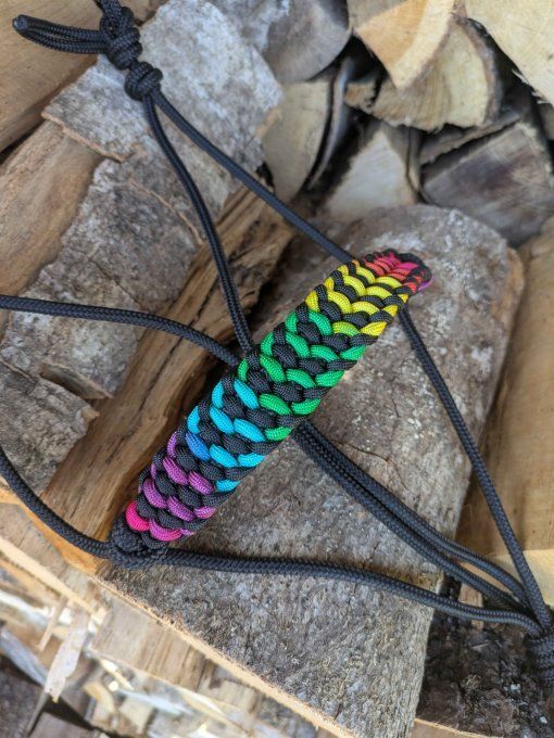Licol "Rainbow" personnalisé