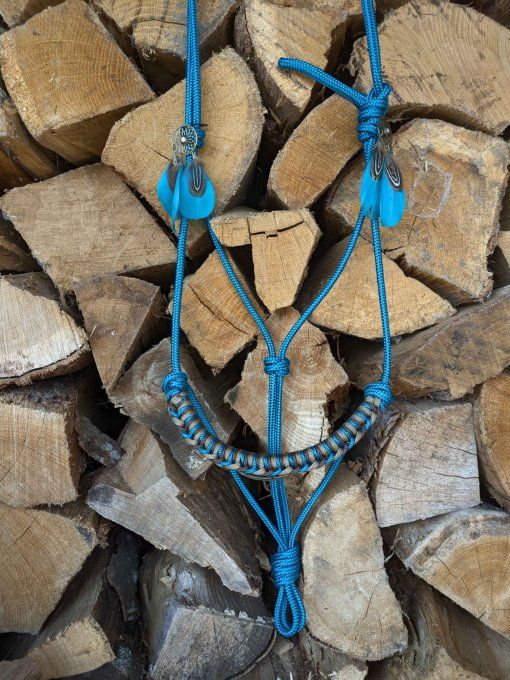 Licol aqua avec deux bijoux plumes taille cob