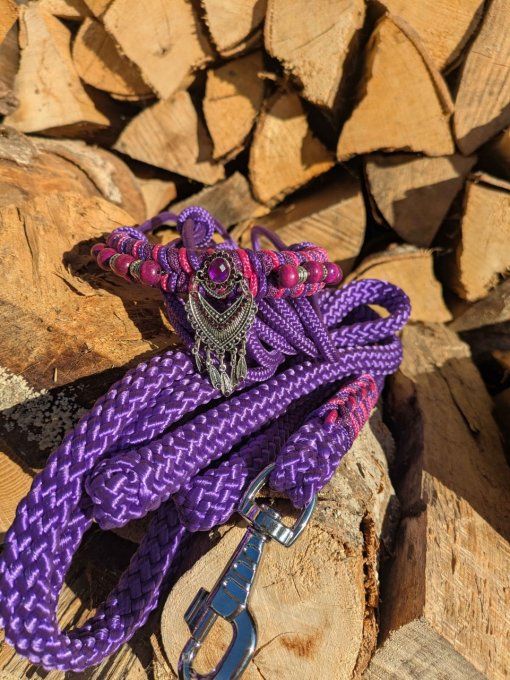 Ensemble violet licol et longe taille cob