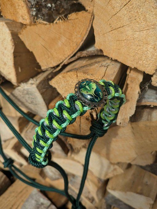 Licol "Sylvestre"