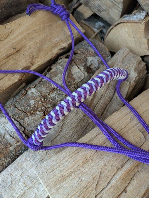 Licol violet Quartz taille cob