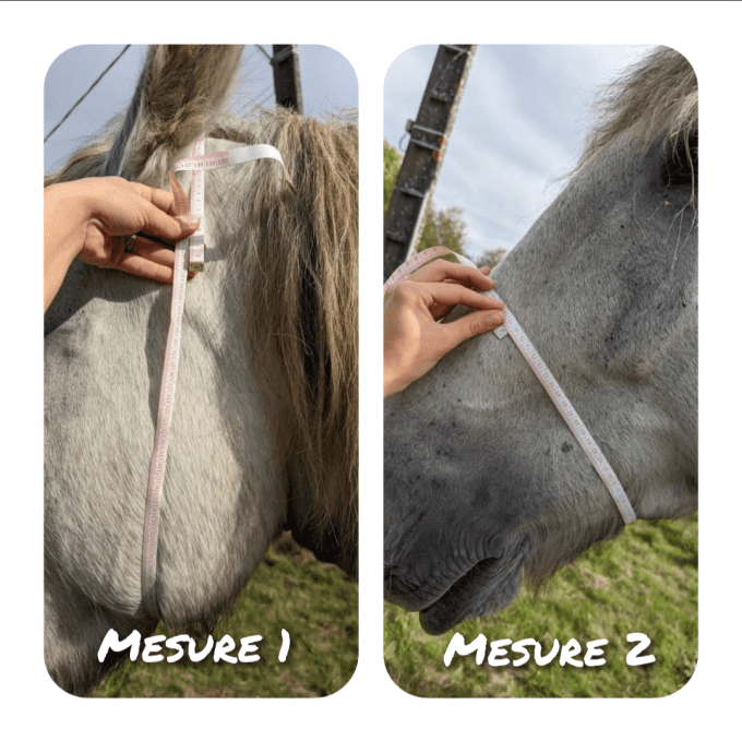 Option: sur-mesure (pour un licol)
