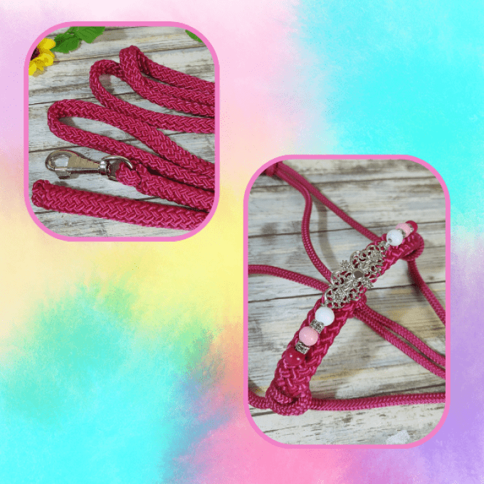 Ensemble Framboise taille shetland