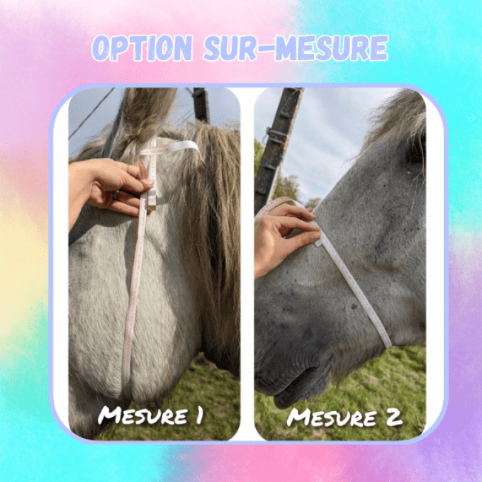 Supplément sur-mesure pour vos licols